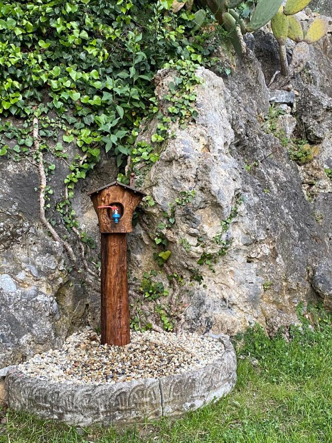 Villa Paolina Ceriale - App. 6 Posti エクステリア 写真